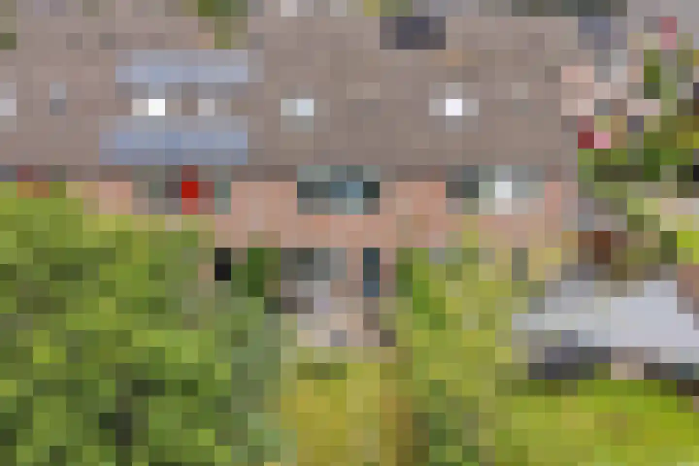 De Twee Gebroeders 86 Drachten thumbnail 39