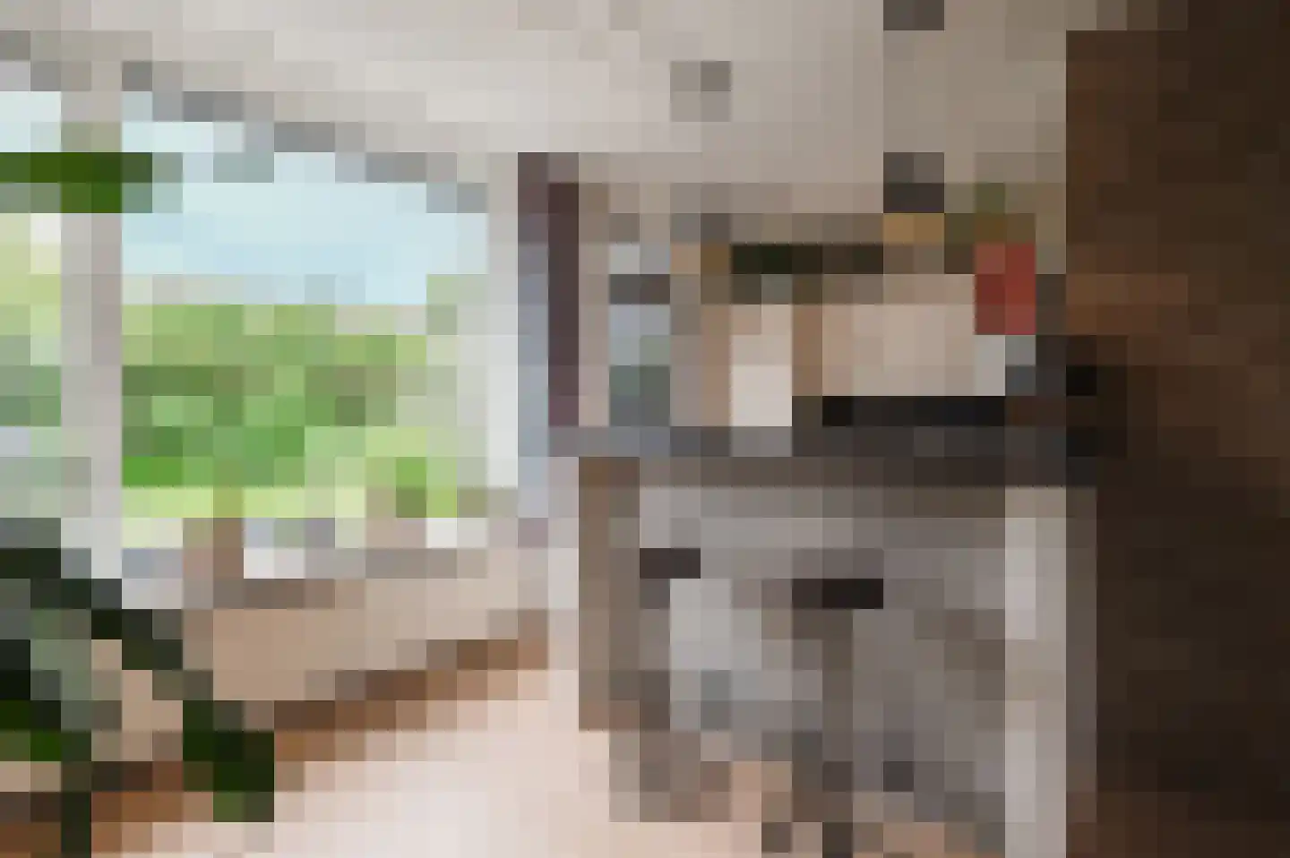 De Twee Morgen 10 Tricht thumbnail 13