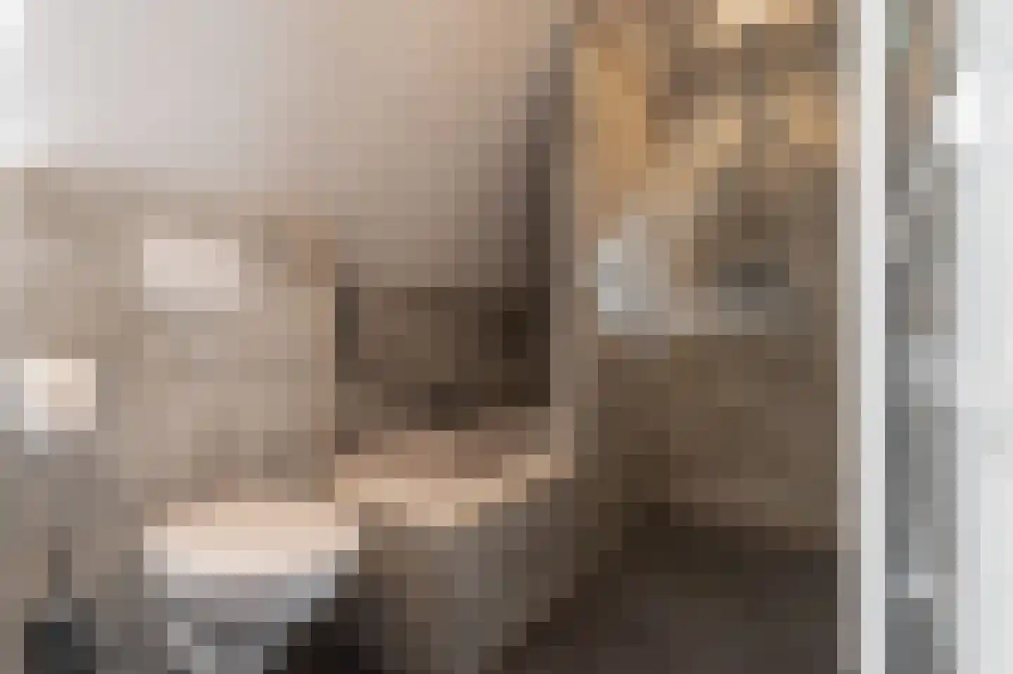 De Twee Morgen 10 Tricht thumbnail 15