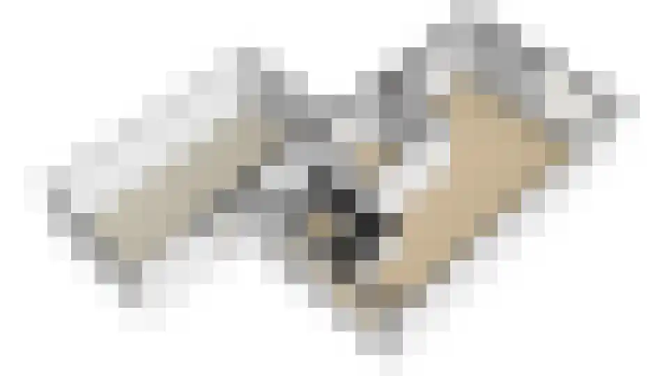 De Twee Morgen 10 Tricht thumbnail 38