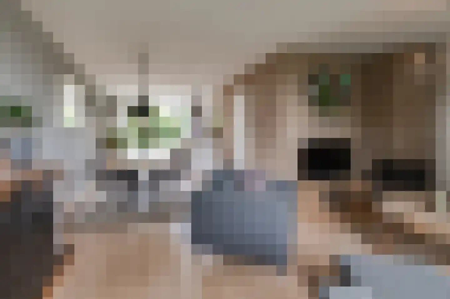 De Twee Morgen 10 Tricht thumbnail 4