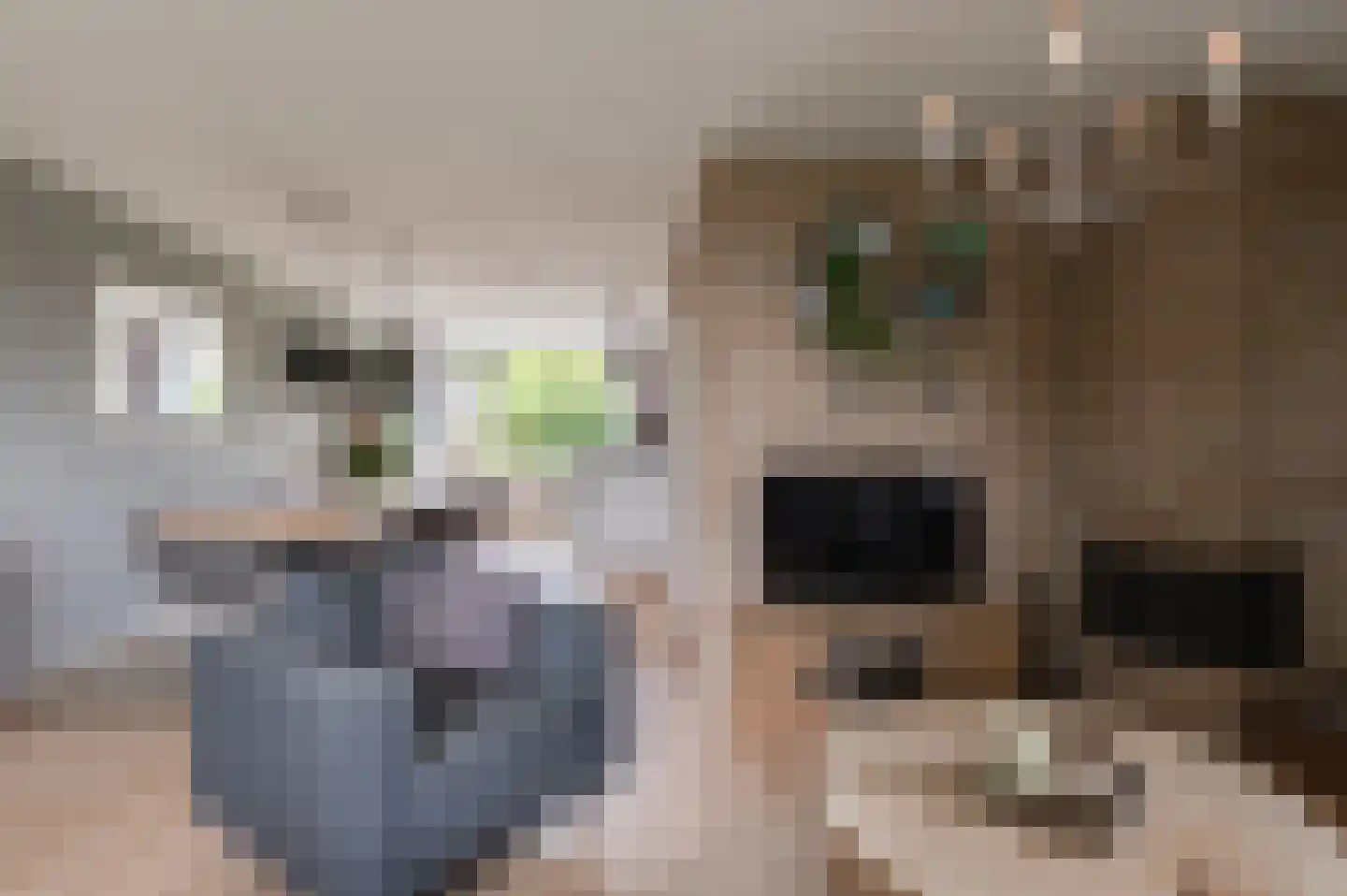 De Twee Morgen 10 Tricht thumbnail 6
