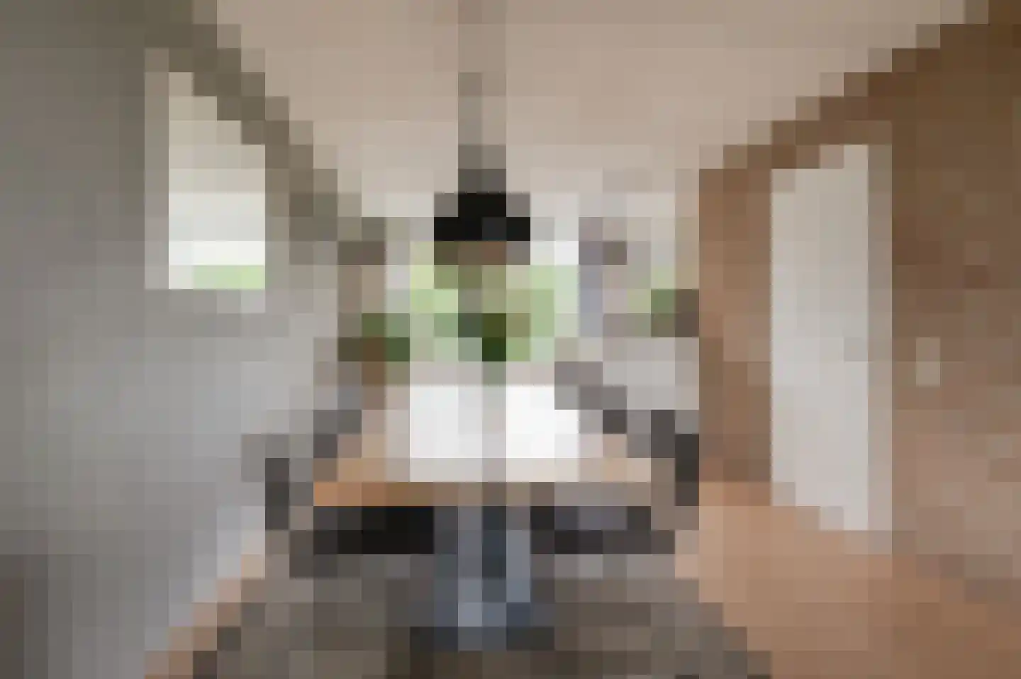 De Twee Morgen 10 Tricht thumbnail 8