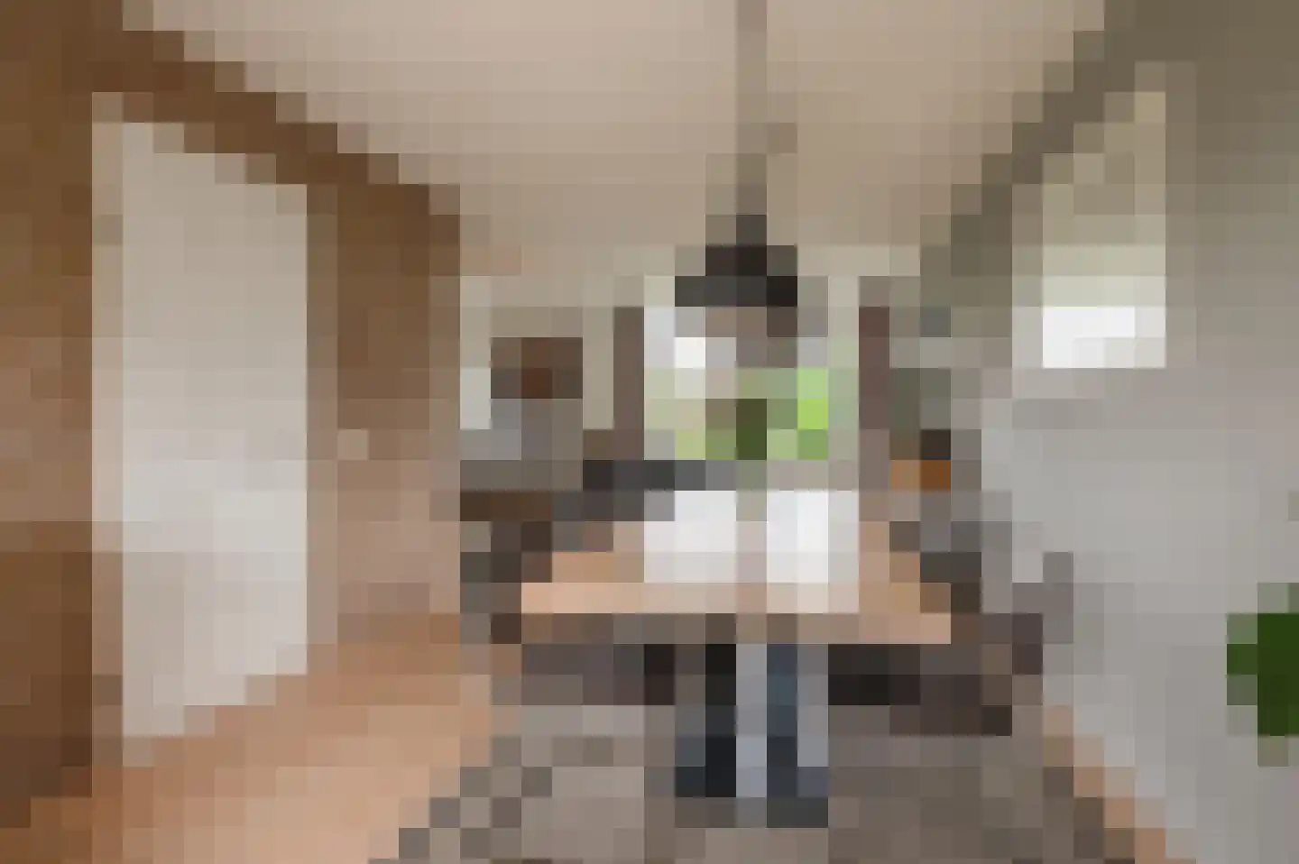 De Twee Morgen 10 Tricht thumbnail 9