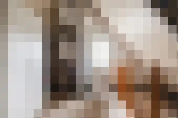 De Twee Morgen 16 Tricht thumbnail 17
