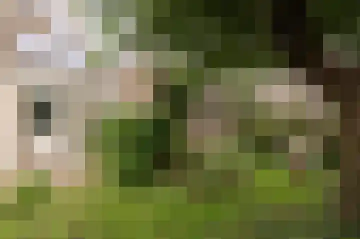 De Twee Morgen 16 Tricht thumbnail 19