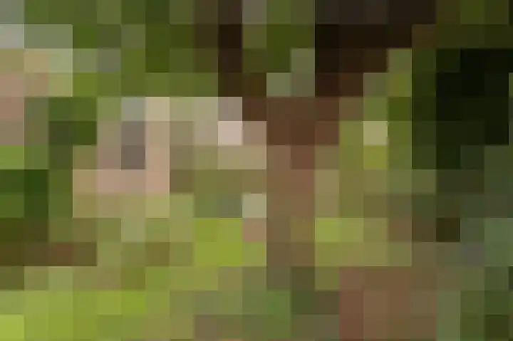 De Twee Morgen 16 Tricht thumbnail 20