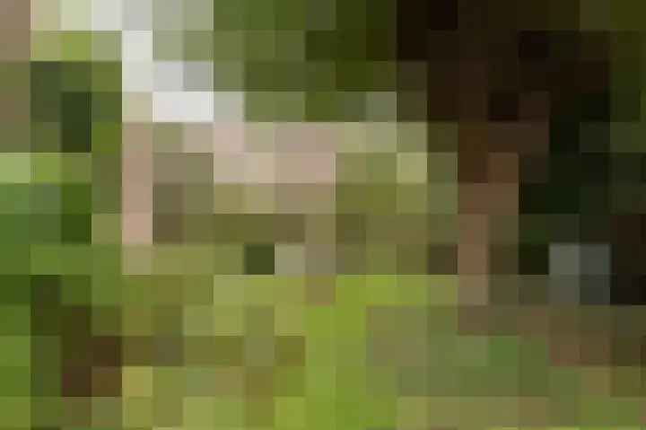 De Twee Morgen 16 Tricht thumbnail 21