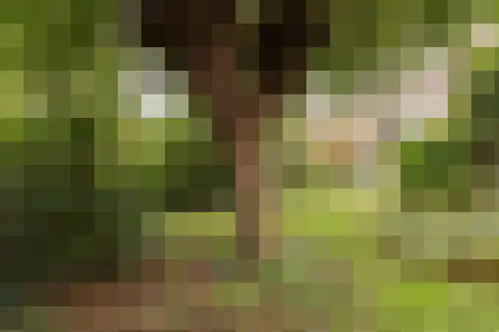 De Twee Morgen 16 Tricht thumbnail 22