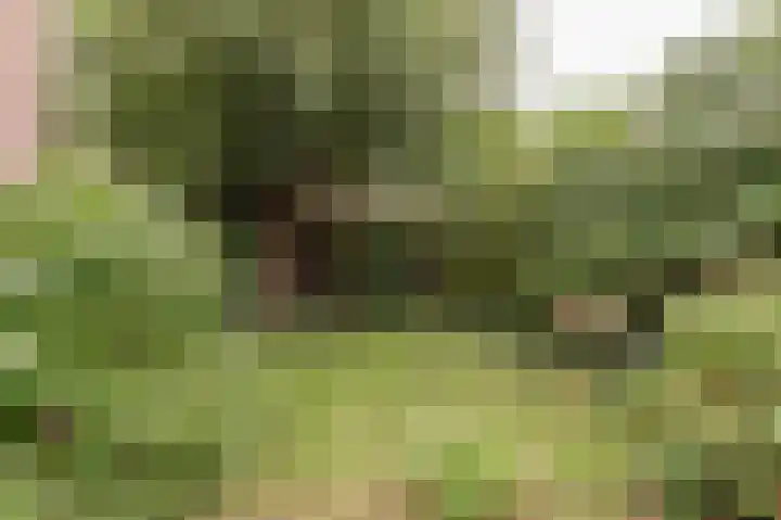 De Twee Morgen 16 Tricht thumbnail 23