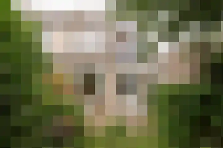 De Twee Morgen 16 Tricht thumbnail 24