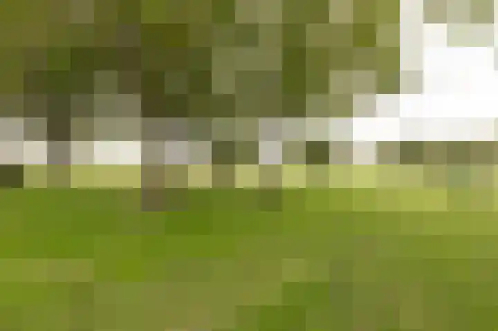 De Twee Morgen 16 Tricht thumbnail 25
