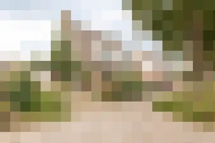 De Twee Morgen 16 Tricht thumbnail 26