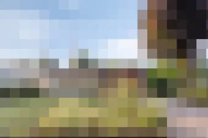De Twee Roeden 11 Westervoort thumbnail 4