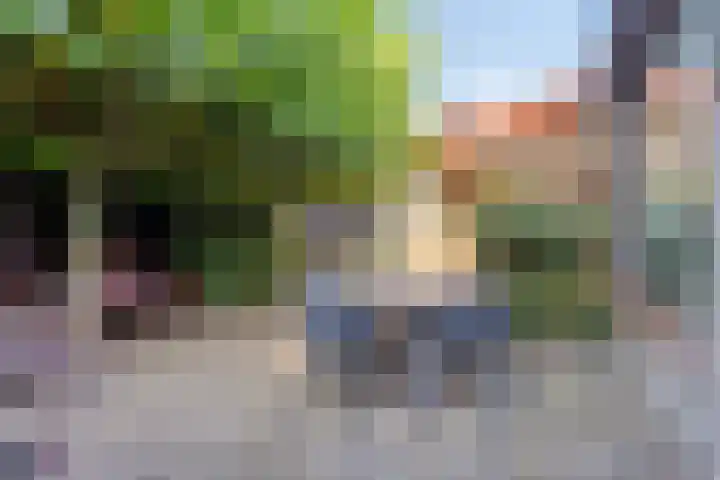 De Twee Roeden 11 Westervoort thumbnail 42