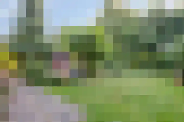 De Twee Roeden 11 Westervoort thumbnail 43