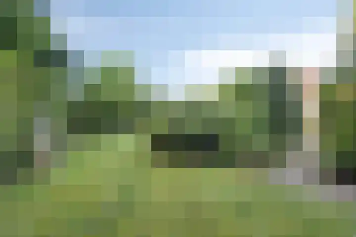 De Twee Roeden 11 Westervoort thumbnail 47