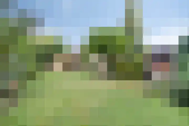 De Twee Roeden 11 Westervoort thumbnail 49