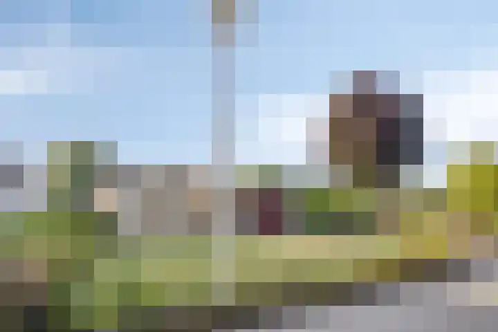 De Twee Roeden 11 Westervoort thumbnail 5