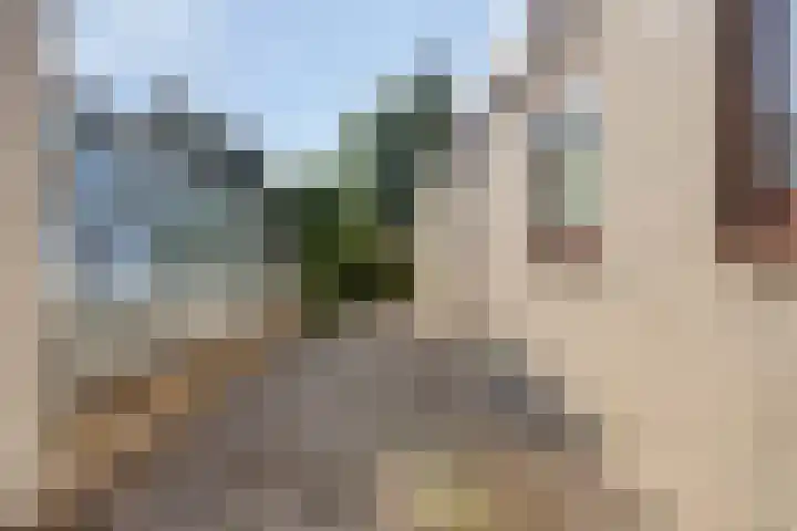 De Twee Roeden 11 Westervoort thumbnail 51