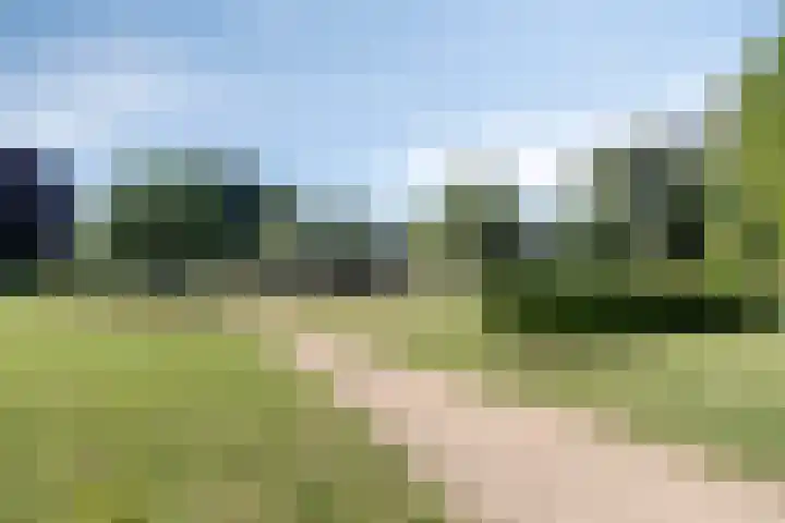 De Twee Roeden 11 Westervoort thumbnail 55