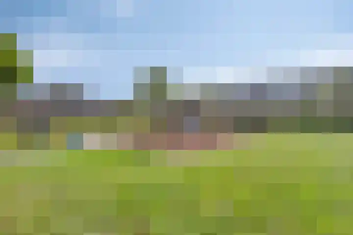 De Twee Roeden 11 Westervoort thumbnail 57