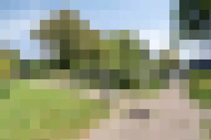 De Twee Roeden 11 Westervoort thumbnail 58