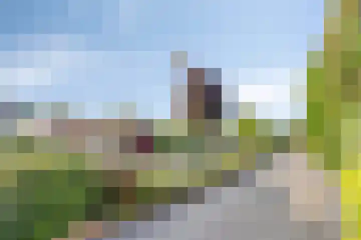 De Twee Roeden 11 Westervoort thumbnail 6