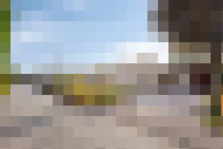 De Twee Roeden 11 Westervoort thumbnail 7