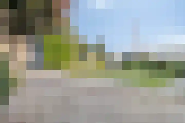 De Twee Roeden 11 Westervoort thumbnail 9