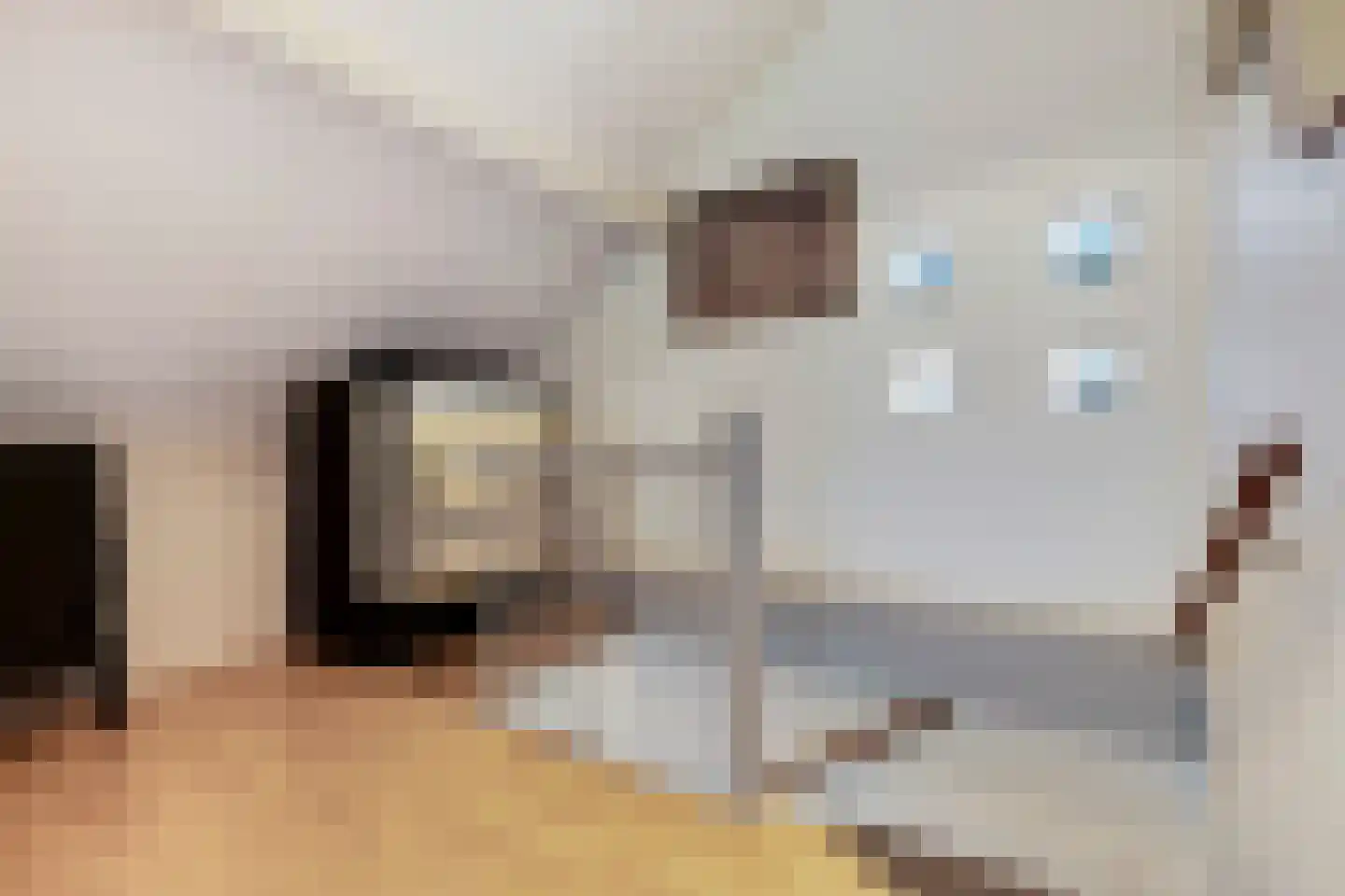 De Twijnder 117 Veldhoven thumbnail 30