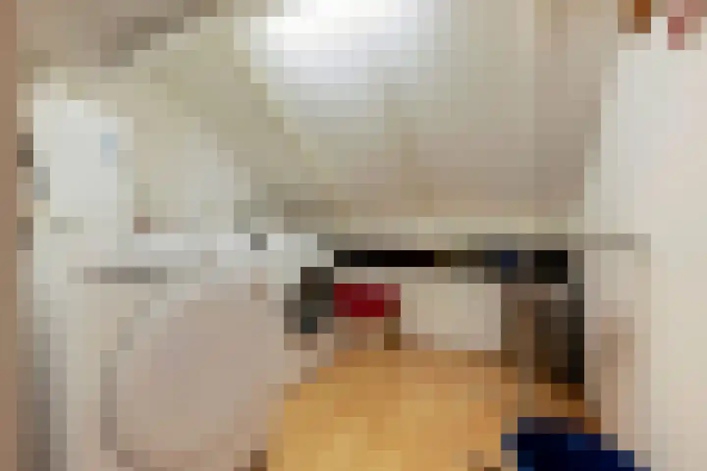 De Twijnder 117 Veldhoven thumbnail 31