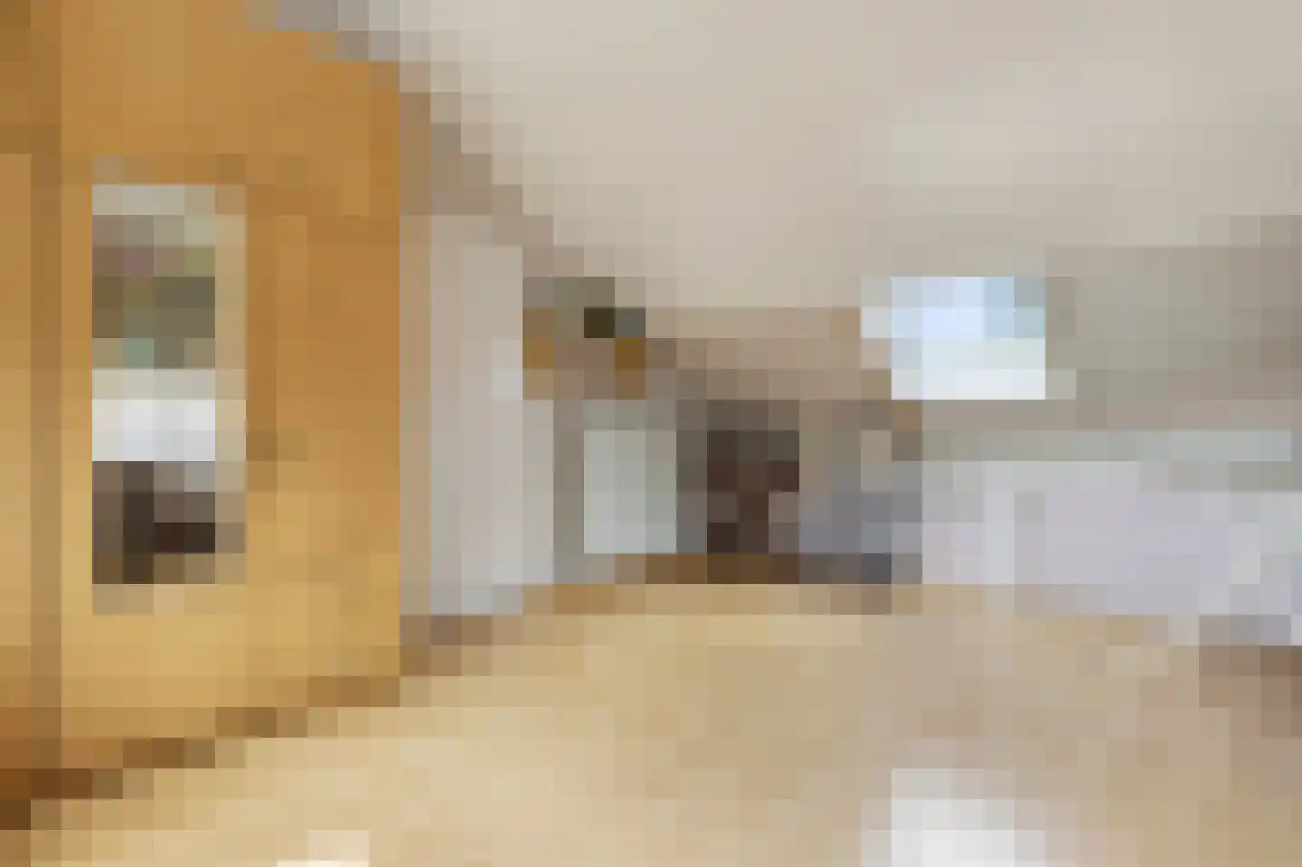 De Twijnder 117 Veldhoven thumbnail 33