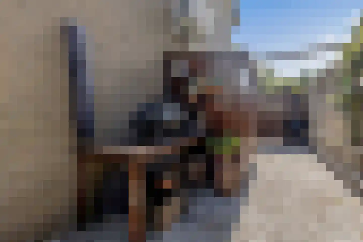 De Twijnder 117 Veldhoven thumbnail 38