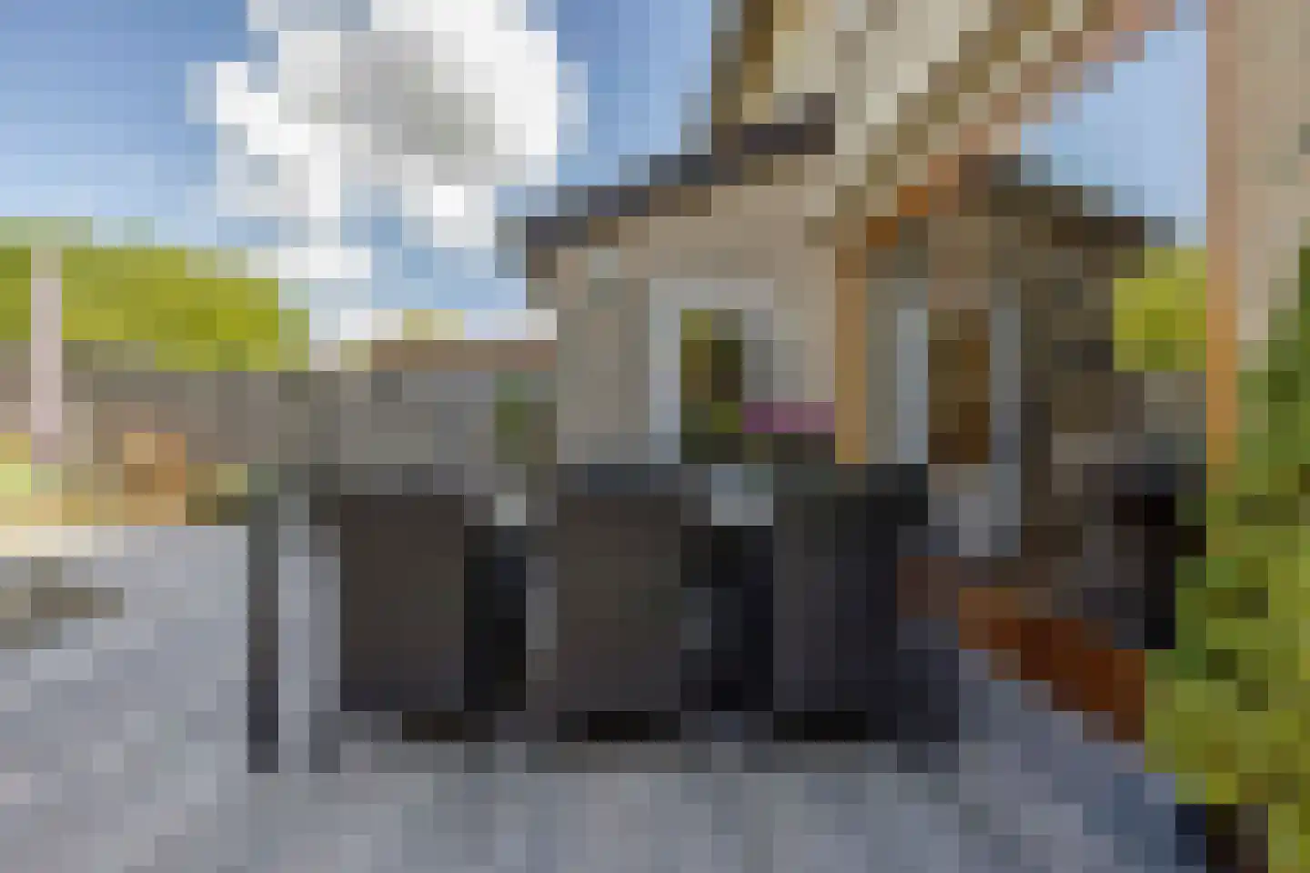 De Twijnder 117 Veldhoven thumbnail 42