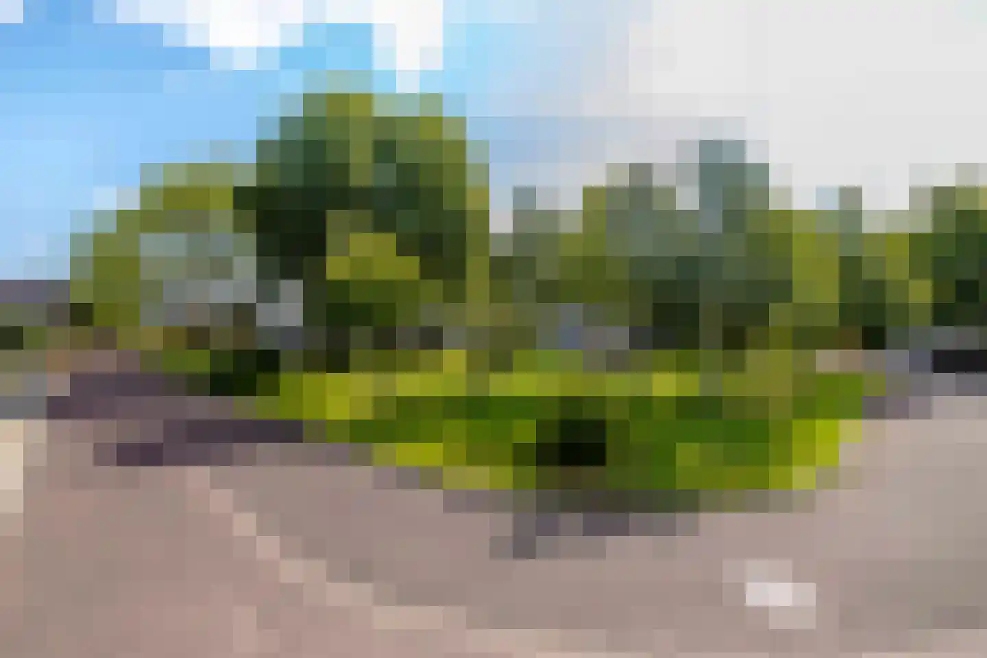 De Twijnder 117 Veldhoven thumbnail 47