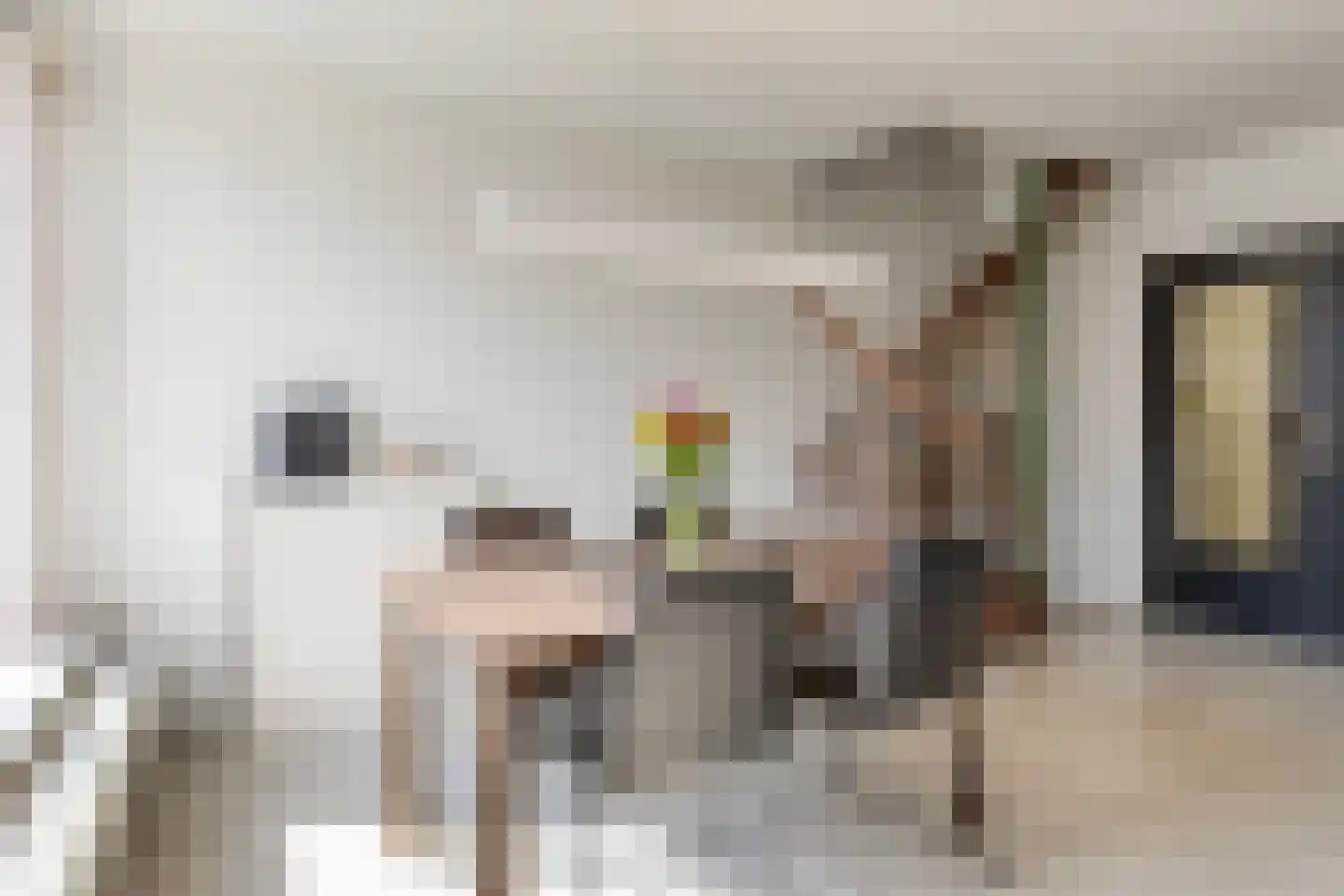 De Twijnder 14 Veldhoven thumbnail 13