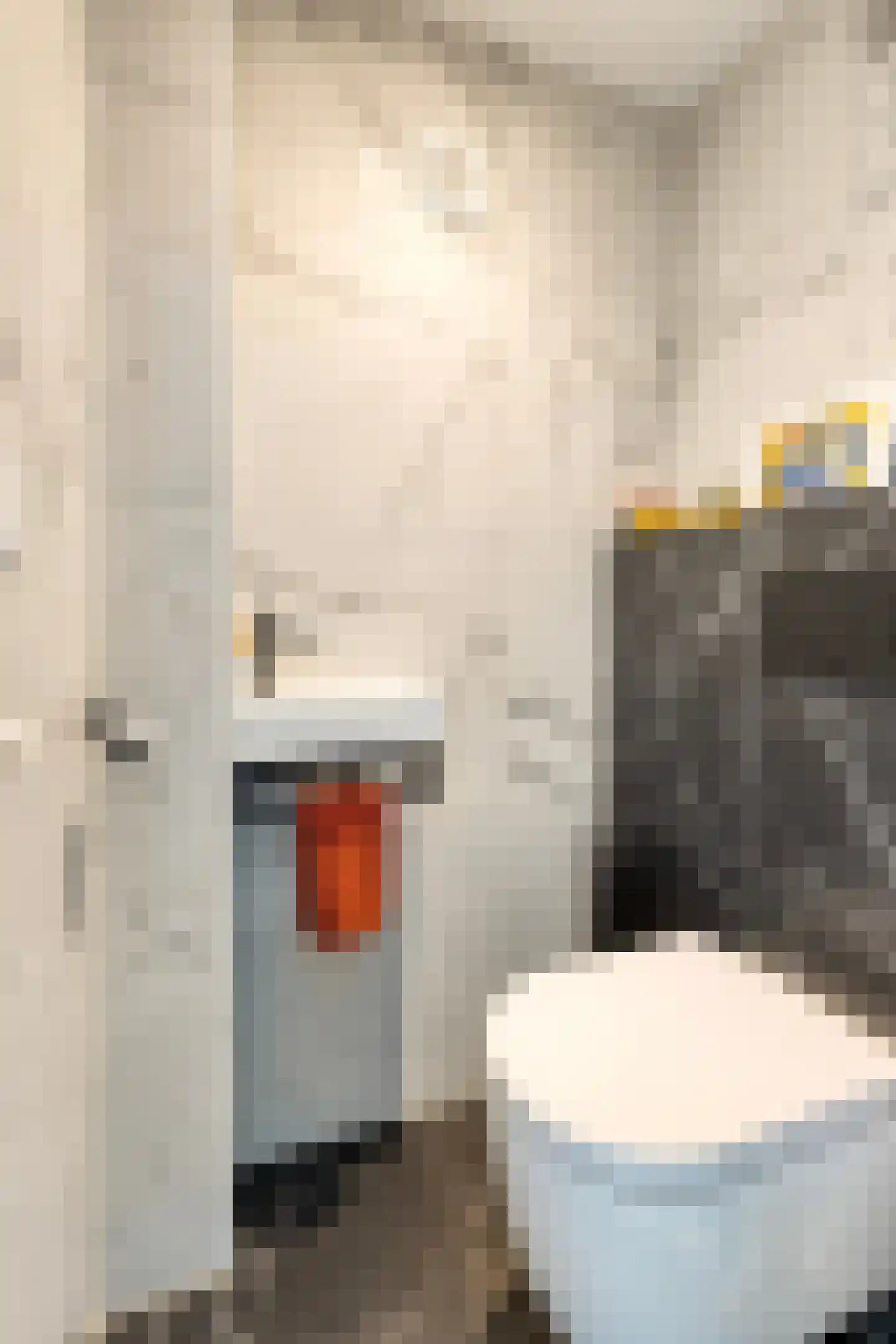 De Twijnder 14 Veldhoven thumbnail 9