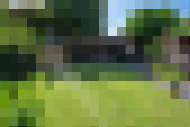 De Twijnder 59 Veldhoven thumbnail 45
