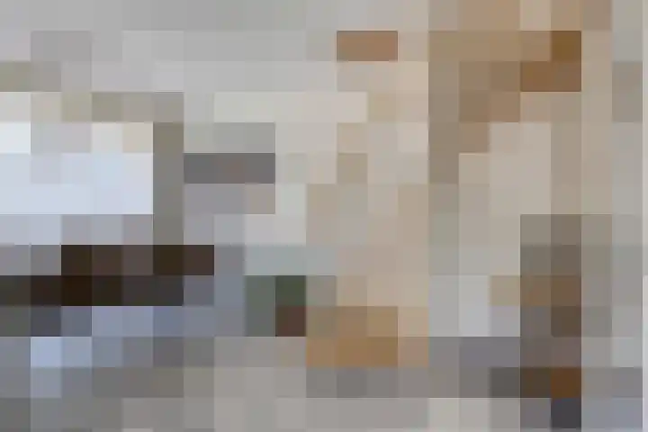 De Twijnder 8 Veldhoven thumbnail 13