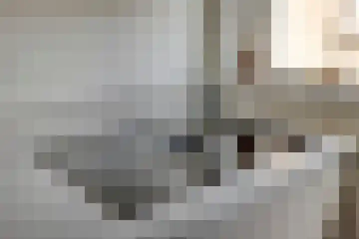 De Twijnder 8 Veldhoven thumbnail 17