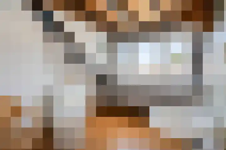 De Twijnder 8 Veldhoven thumbnail 32