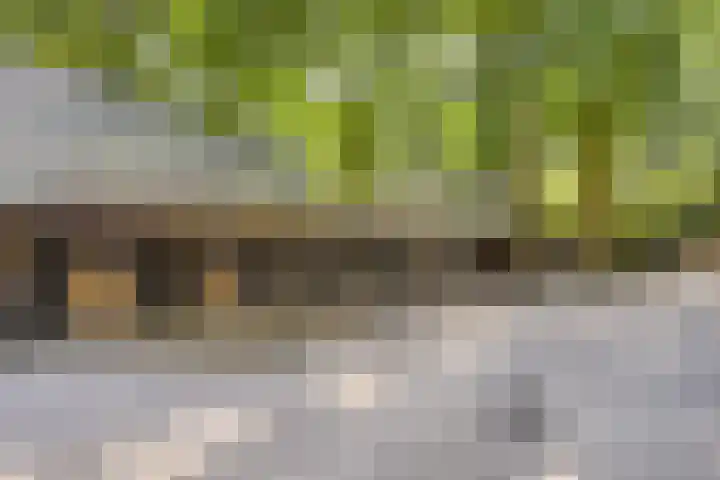 De Twijnder 8 Veldhoven thumbnail 41