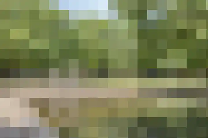 De Twijnder 8 Veldhoven thumbnail 43