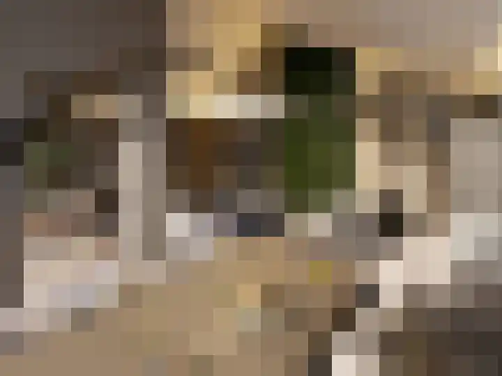 De Twijnderij 1 Leusden thumbnail 12