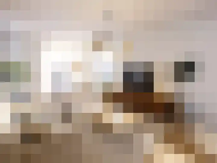 De Twijnderij 17 Leusden thumbnail 8