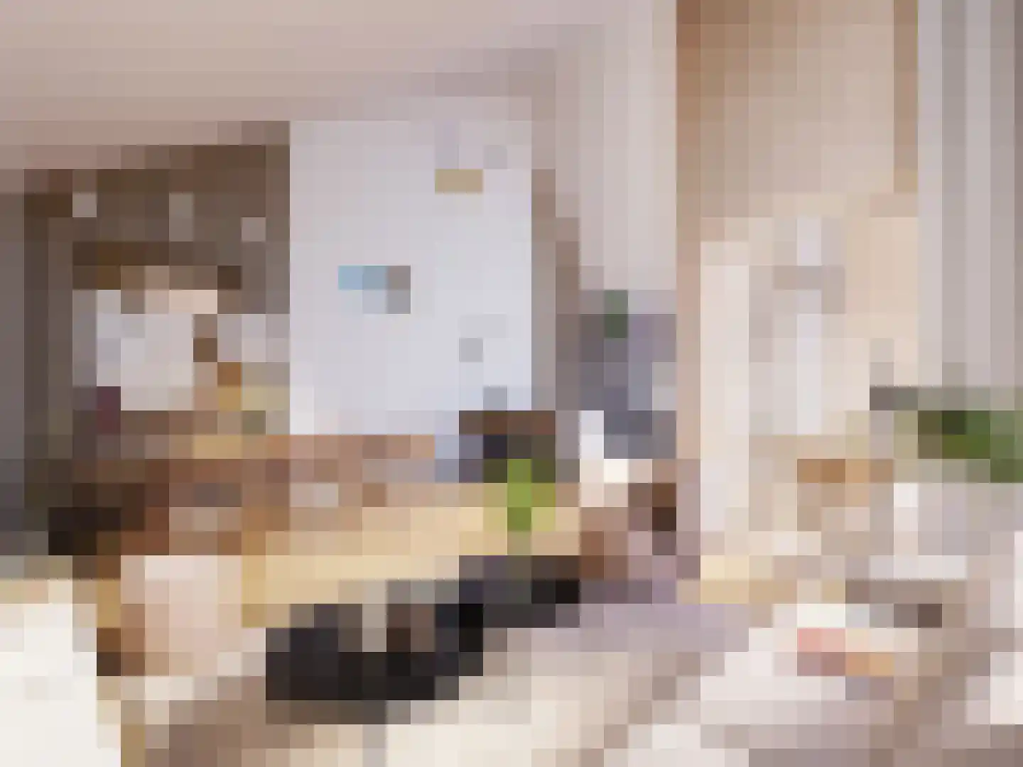 De Twijnderij 25 Leusden thumbnail 13