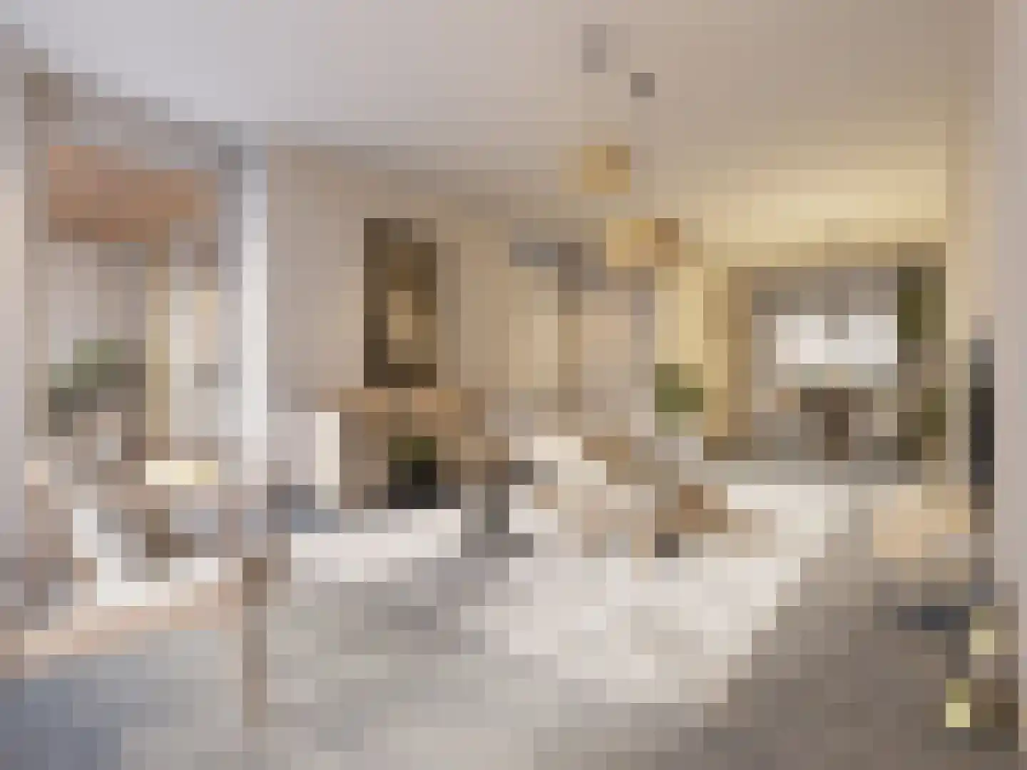 De Twijnderij 25 Leusden thumbnail 5