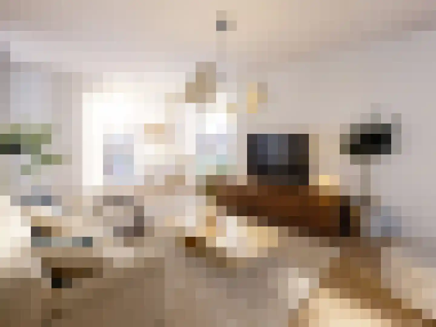De Twijnderij 25 Leusden thumbnail 8