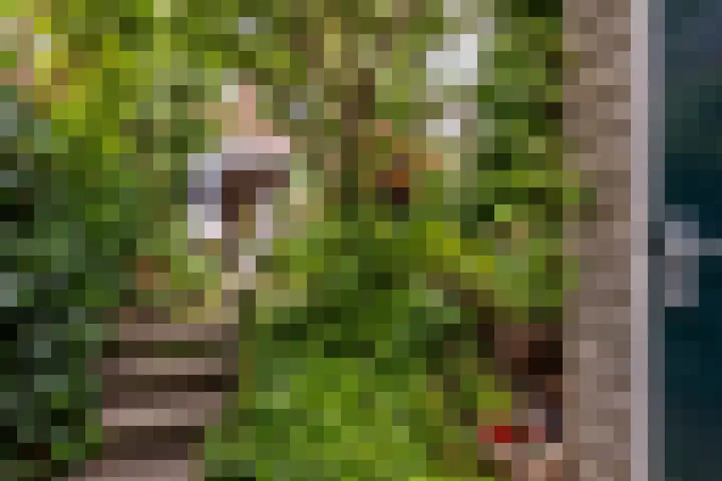 De Twijnen 3 Moordrecht thumbnail 36